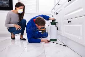 Best Residential Pest Control  in Lemon Hill, CA