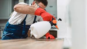 Best Commercial Pest Control  in Lemon Hill, CA